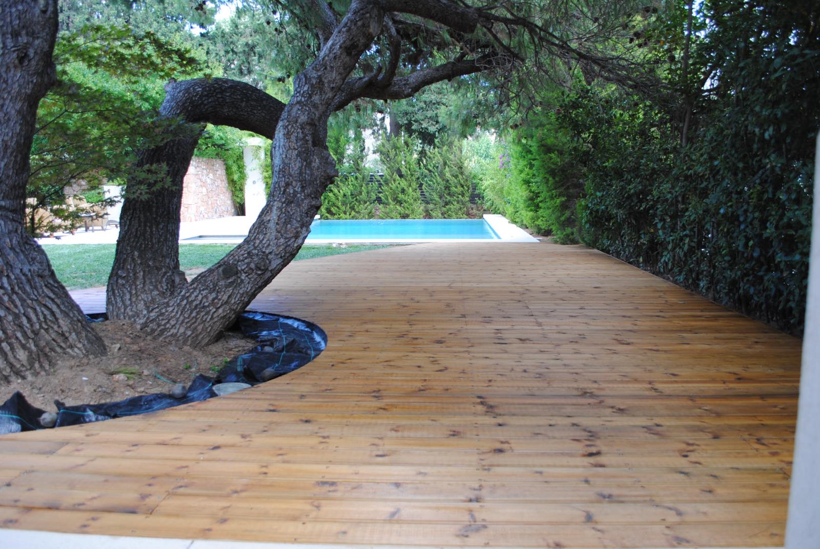 viber_image_2025-09-21_14-57-14-078