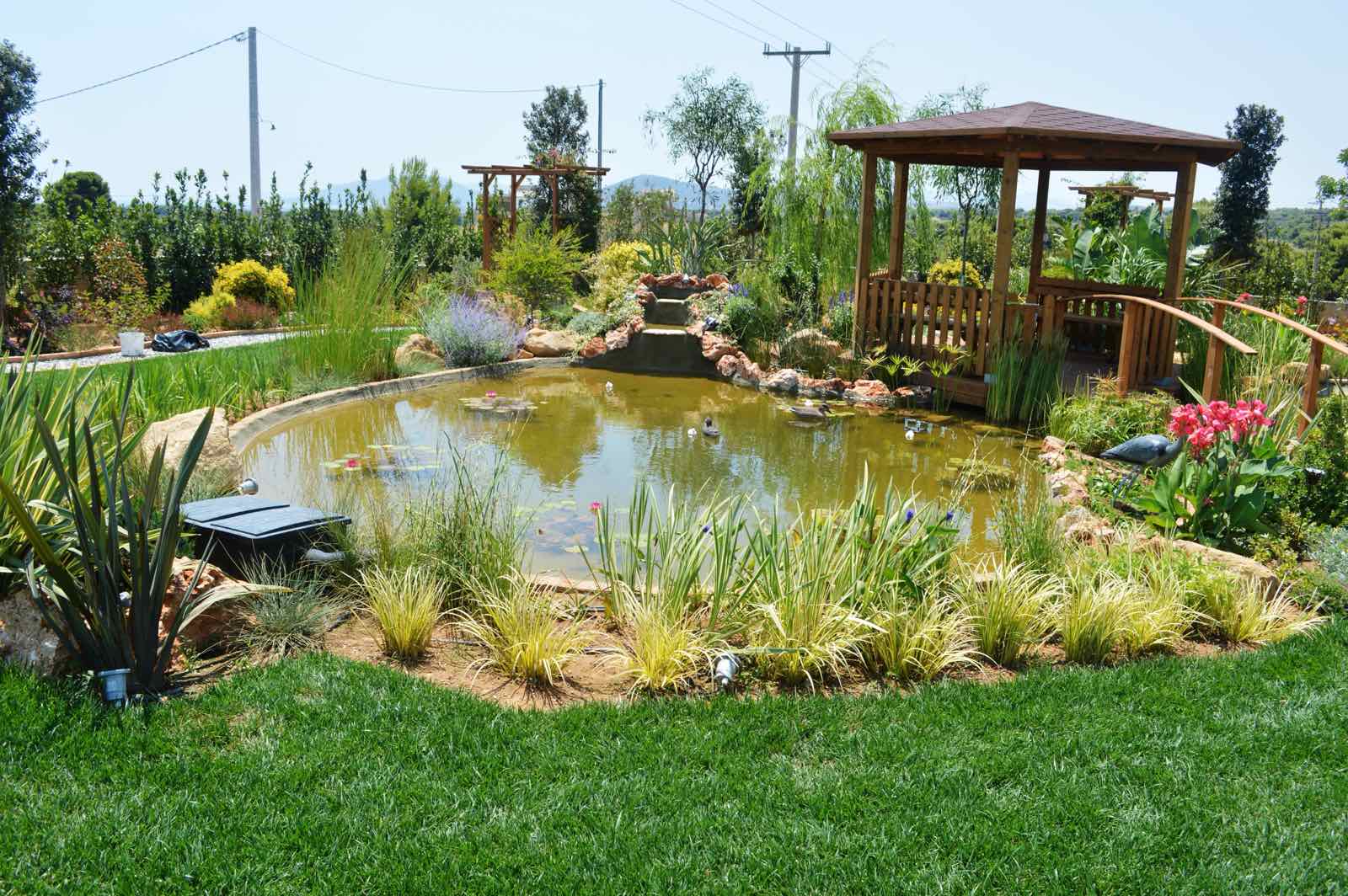 viber_image_2025-09-21_14-57-14-541